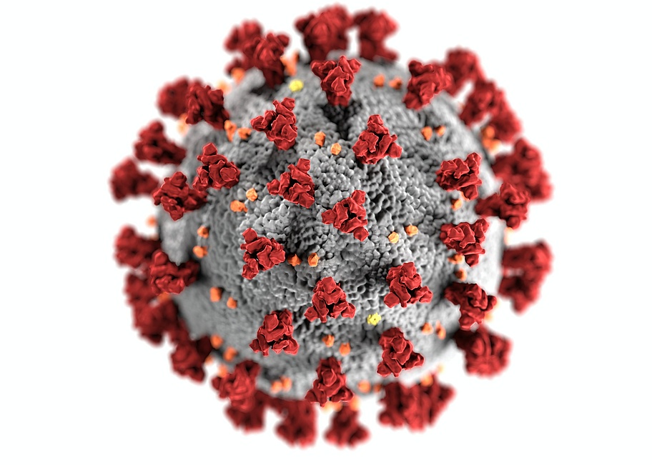 Corona_Virus_Coronavirus