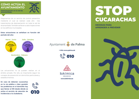 CucarachaMassnahmen_AjuntamentdePalma
