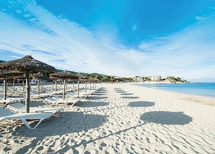 LiegenSonnenschirmeStrandLeerCalvia_AjuntamentdeCalvia