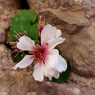 poiImage_8842_1772226281