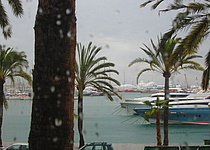 Regen_Redaktion