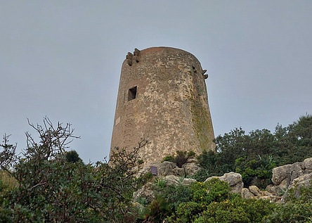 Torre_d_Albercutx_Wachturm_ajuntament_Pollenca