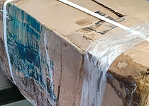 Verdorbener_Fisch_Caib