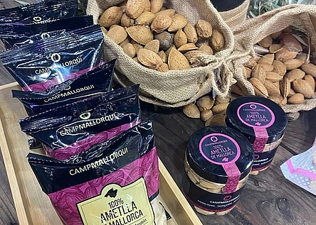 Mandeln_camp_mallorqui