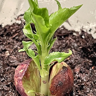 poiImage_8831_1771112371