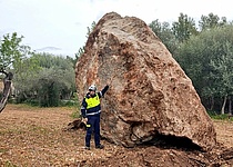 Felsabgang_Esporles_Bombers_Mallorca_Twitter