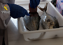 FischmitMedikamenten_GuardiaCivil