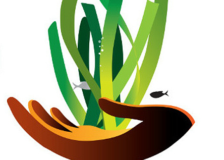 Posidonia_Caib