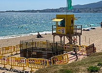 Schildkroeten_Stadtstrand_inselradio