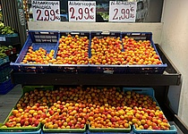 Aprikosen_Markt_marillen