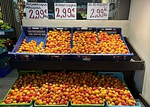 Aprikosen_Markt_marillen