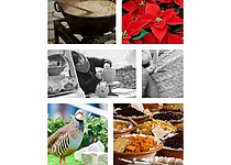 Wachtelmesse_Montuiri_ajuntament