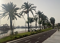 November_2025_Paseo_Maritimo_Palma_inselradio_6