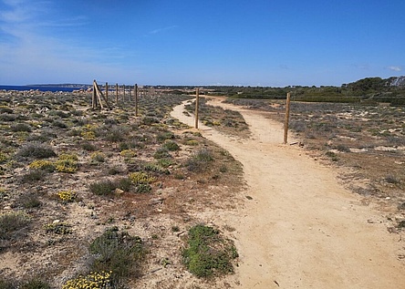 Zaun_Kueste_Absperrung_Llucmajor_Estanyol_Gob_Mallorca