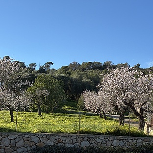 poiImage_8821_1770401701