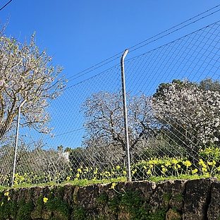 poiImage_8829_1770819674