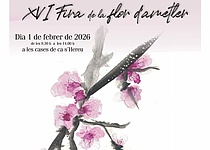 Mandelbluetenfest2026SonServera_AjuntamentdeSonServera_Facebook