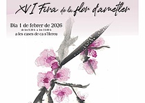 Mandelbluetenfest2026SonServera_AjuntamentdeSonServera_Facebook