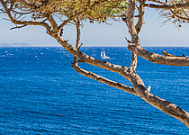 Meer_Schiff_segel_caib