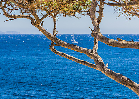 Meer_Schiff_segel_caib