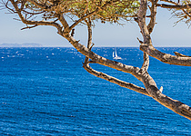 Meer_Schiff_segel_caib