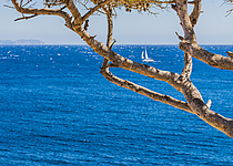 Meer_Schiff_segel_caib
