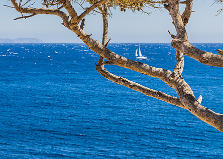 Meer_Schiff_segel_caib