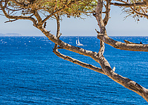 Meer_Schiff_segel_caib