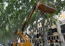 Weihnachtsbeleuchtung_Sommer_aufhaengen_2025_borne