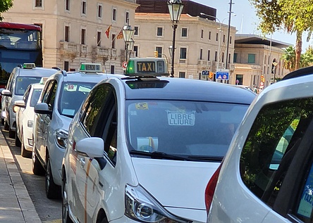 Taxis_parken_Grossaufnahme