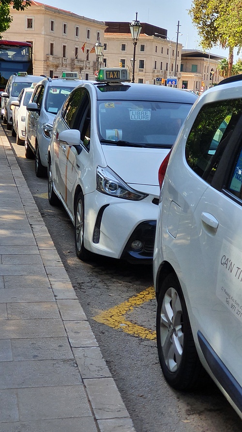 Stadt Palma will Elektrobusse und Radiosender für Taxifahrer