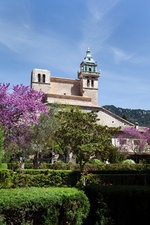 150816_kartause_Valldemossa