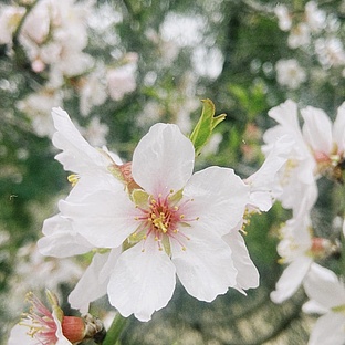 poiImage_8828_1770650422