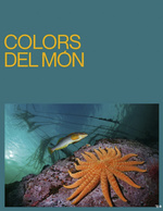 Farben_aller_Welt_