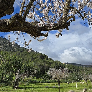 poiImage_8826_1770565308