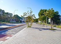 Neuer_Fuss__und_Radweg_an_der_Playa_de_Palma_AjuntamentdePalma