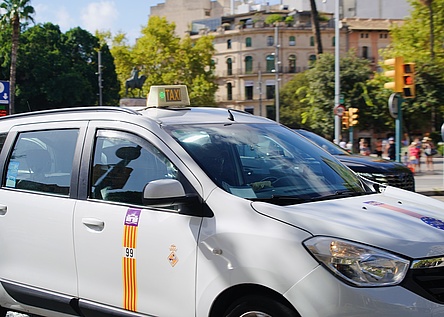 TaxiAuto_AjuntamentdePalma