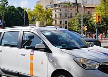 TaxiAuto_AjuntamentdePalma