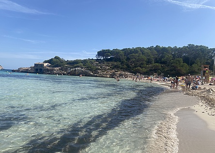 StrandS_AmaradorSantanyi_Intern_Maresa