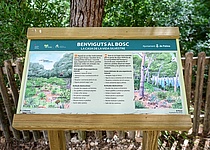 SchilderBellverWald_AjuntamentdePalma