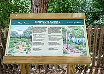 SchilderBellverWald_AjuntamentdePalma