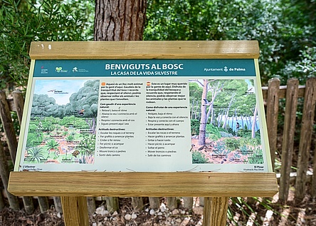 SchilderBellverWald_AjuntamentdePalma