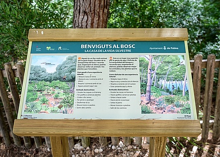 SchilderBellverWald_AjuntamentdePalma