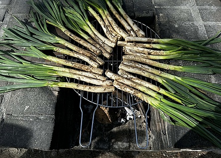 Calcots_Foto_von_Lena
