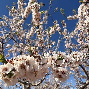 poiImage_8834_1772032164