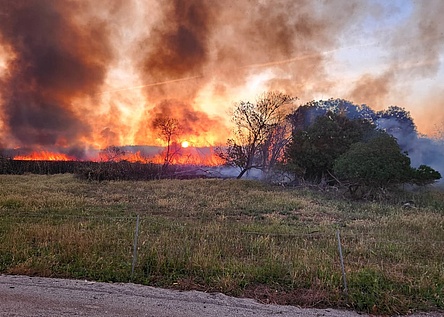 Ibanat_Brand_Albufera_Twitter