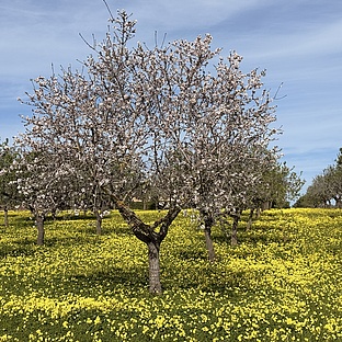 poiImage_8832_1771683440