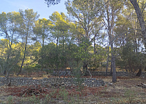 Brandschutz_Waldbrand_Tramuntana_caib
