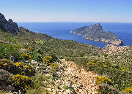 SaDragoneraAusblickWandern_ConselldeMallorca