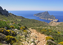 SaDragoneraAusblickWandern_ConselldeMallorca